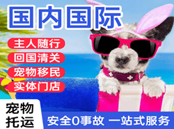 太原机场快运国际宠物托运 【国